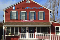 deer run veterinary services pet friendly martha's vineyard mass