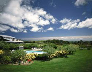 island inn- petfriendly hotel in marthas vineyard