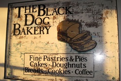 pet friendly restaurant espresso love marthas vineyard