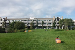 Winnetu oceanside resort, pet friendly marthas vineyard hotels, dog friendly hotels in marthas vineyard