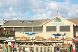 pet friendly restaurant espresso love marthas vineyard