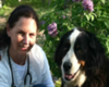 martha's vineyard veterinarian sea breeze vet in martha's vineyard massachusetts